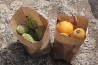 Canon EOS 5D Mark II, 2010:04:09 10:54:03 -- 1/40 sec, f/25.0.  No Flash, Compulsory.5616x3744 Off.