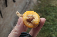 Canon EOS 5D Mark II, 2010:04:09 10:54:20 -- 1/40 sec, f/18.0.  No Flash, Compulsory.5616x3744 Off.