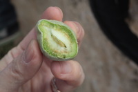 Canon EOS 5D Mark II, 2010:04:09 10:55:08 -- 1/40 sec, f/16.0.  No Flash, Compulsory.5616x3744 Off.