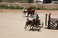 Canon EOS 5D Mark II, 2010:04:09 11:42:29 -- 1/60 sec, f/32.0.  No Flash, Compulsory.5616x3744 Off.