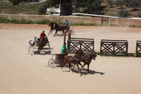 Canon EOS 5D Mark II, 2010:04:09 11:43:12 -- 1/60 sec, f/32.0.  No Flash, Compulsory.5616x3744 Off.