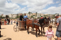 Canon EOS 5D Mark II, 2010:04:09 11:53:52 -- 1/60 sec, f/22.0.  No Flash, Compulsory.5616x3744 Off.