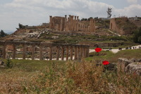 Canon EOS 5D Mark II, 2010:04:09 12:23:34 -- 1/100 sec, f/22.0.  No Flash, Compulsory.5616x3744 Off.