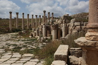 Canon EOS 5D Mark II, 2010:04:09 12:29:11 -- 1/400 sec, f/14.0.  No Flash, Compulsory.5616x3744 Off.