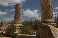 Canon EOS 5D Mark II, 2010:04:09 12:31:21 -- 1/400 sec, f/14.0.  No Flash, Compulsory.5616x3744 Off.