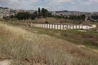 Canon EOS 5D Mark II, 2010:04:09 13:15:07 -- 1/320 sec, f/13.0.  No Flash, Compulsory.5616x3744 Off.