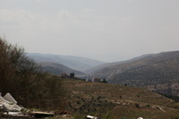 Canon EOS 5D Mark II, 2010:04:09 14:12:20 -- 1/800 sec, f/10.0.  No Flash, Compulsory.5616x3744 Off.