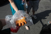 Canon EOS 5D Mark II, 2010:04:09 15:16:46 -- 1/250 sec, f/11.0.  No Flash, Compulsory.5616x3744 Off.