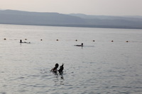 Canon EOS 5D Mark II, 2010:04:09 17:34:06 -- 1/640 sec, f/10.0.  No Flash, Compulsory.5616x3744 Off.