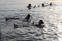 Canon EOS 5D Mark II, 2010:04:09 17:34:27 -- 1/640 sec, f/10.0.  No Flash, Compulsory.5616x3744 Off.