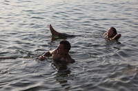 Canon EOS 5D Mark II, 2010:04:09 17:34:48 -- 1/400 sec, f/8.0.  No Flash, Compulsory.5616x3744 Off.