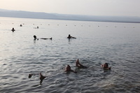 Canon EOS 5D Mark II, 2010:04:09 17:34:53 -- 1/320 sec, f/10.0.  No Flash, Compulsory.5616x3744 Off.