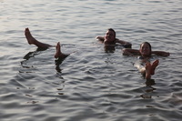 Canon EOS 5D Mark II, 2010:04:09 17:35:09 -- 1/400 sec, f/8.0.  No Flash, Compulsory.5616x3744 Off.