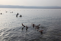 Canon EOS 5D Mark II, 2010:04:09 17:35:13 -- 1/320 sec, f/11.0.  No Flash, Compulsory.5616x3744 Off.