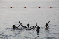 Canon EOS 5D Mark II, 2010:04:09 17:37:17 -- 1/640 sec, f/9.0.  No Flash, Compulsory.5616x3744 Off.