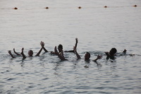 Canon EOS 5D Mark II, 2010:04:09 17:37:21 -- 1/640 sec, f/9.0.  No Flash, Compulsory.5616x3744 Off.