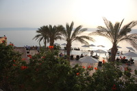 Canon EOS 5D Mark II, 2010:04:09 18:07:04 -- 1/200 sec, f/10.0.  No Flash, Compulsory.5616x3744 Off.