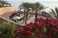 Canon EOS 5D Mark II, 2010:04:09 18:07:46 -- 1/160 sec, f/7.1.  No Flash, Compulsory.5616x3744 Off.