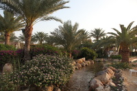 Canon EOS 5D Mark II, 2010:04:09 18:13:21 -- 1/100 sec, f/7.1.  No Flash, Compulsory.5616x3744 Off.