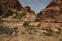 Canon EOS 5D Mark II, 2010:04:12 09:51:36 -- 1/320 sec, f/11.0.  No Flash, Compulsory.5616x3744 Off.