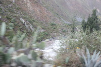 Canon EOS 5D Mark II, 2010:04:27 08:41:51 -- 1/60 sec, f/4.5.  No Flash, Compulsory.5616x3744 Off.