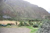 Canon EOS 5D Mark II, 2010:04:27 08:43:19 -- 1/60 sec, f/5.0.  No Flash, Compulsory.5616x3744 Off.