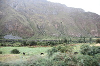 Canon EOS 5D Mark II, 2010:04:27 08:43:34 -- 1/60 sec, f/5.0.  No Flash, Compulsory.5616x3744 Off.