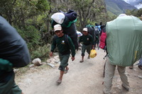 Canon EOS 5D Mark II, 2010:04:27 11:09:17 -- 1/80 sec, f/6.3.  No Flash, Compulsory.5616x3744 Off.