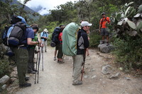 Canon EOS 5D Mark II, 2010:04:27 11:11:29 -- 1/100 sec, f/7.1.  No Flash, Compulsory.5616x3744 Off.