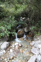 Canon EOS 5D Mark II, 2010:04:27 11:19:13 -- 1/50 sec, f/5.0.  No Flash, Compulsory.5616x3744 Off.