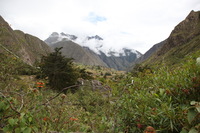 Canon EOS 5D Mark II, 2010:04:27 11:25:05 -- 1/125 sec, f/8.0.  No Flash, Compulsory.5616x3744 Off.