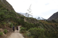 Canon EOS 5D Mark II, 2010:04:27 11:37:38 -- 1/125 sec, f/8.0.  No Flash, Compulsory.5616x3744 Off.