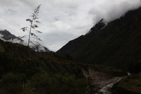 Canon EOS 5D Mark II, 2010:04:27 11:38:49 -- 1/250 sec, f/11.0.  No Flash, Compulsory.5616x3744 Off.