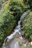 Canon EOS 5D Mark II, 2010:04:27 12:22:48 -- 1/80 sec, f/6.3.  No Flash, Compulsory.5616x3744 Off.