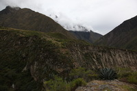 Canon EOS 5D Mark II, 2010:04:27 12:24:30 -- 1/200 sec, f/10.0.  No Flash, Compulsory.5616x3744 Off.