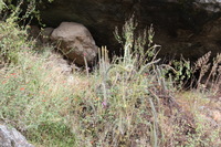 Canon EOS 5D Mark II, 2010:04:27 12:26:39 -- 1/60 sec, f/5.6.  No Flash, Compulsory.5616x3744 Off.