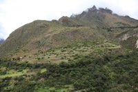 Canon EOS 5D Mark II, 2010:04:27 12:36:43 -- 1/125 sec, f/8.0.  No Flash, Compulsory.5616x3744 Off.