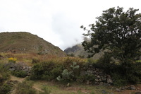 Canon EOS 5D Mark II, 2010:04:27 12:40:15 -- 1/160 sec, f/8.0.  No Flash, Compulsory.5616x3744 Off.