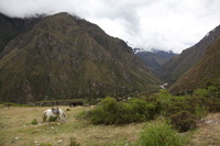 Canon EOS 5D Mark II, 2010:04:27 12:45:09 -- 1/160 sec, f/8.0.  No Flash, Compulsory.5616x3744 Off.