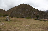 Canon EOS 5D Mark II, 2010:04:27 12:48:19 -- 1/160 sec, f/9.0.  No Flash, Compulsory.5616x3744 Off.