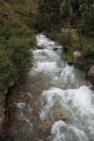 Canon EOS 5D Mark II, 2010:04:27 13:46:55 -- 1/160 sec, f/8.0.  No Flash, Compulsory.5616x3744 Off.