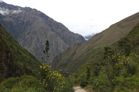 Canon EOS 5D Mark II, 2010:04:27 15:49:39 -- 1/125 sec, f/6.3.  No Flash, Compulsory.5616x3744 Off.