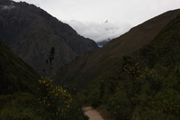 Canon EOS 5D Mark II, 2010:04:27 15:49:47 -- 1/160 sec, f/10.0.  No Flash, Compulsory.5616x3744 Off.