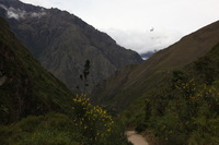 Canon EOS 5D Mark II, 2010:04:27 15:50:04 -- 1/200 sec, f/7.1.  No Flash, Compulsory.5616x3744 Off.