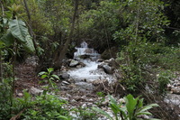 Canon EOS 5D Mark II, 2010:04:27 16:41:22 -- 1/50 sec, f/5.0.  No Flash, Compulsory.5616x3744 Off.