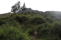 Canon EOS 5D Mark II, 2010:04:27 16:46:14 -- 1/80 sec, f/6.3.  No Flash, Compulsory.5616x3744 Off.