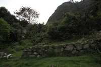 Canon EOS 5D Mark II, 2010:04:27 17:29:56 -- 1/80 sec, f/6.3.  No Flash, Compulsory.5616x3744 Off.