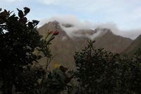 Canon EOS 5D Mark II, 2010:04:27 17:36:15 -- 1/125 sec, f/7.1.  No Flash, Compulsory.5616x3744 Off.