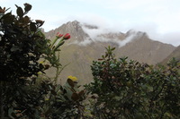 Canon EOS 5D Mark II, 2010:04:27 17:37:03 -- 1/13 sec, f/14.0.  No Flash, Compulsory.5616x3744 Off.