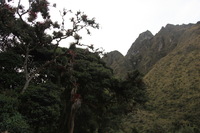 Canon EOS 5D Mark II, 2010:04:27 17:38:55 -- 1/100 sec, f/4.0.  No Flash, Compulsory.5616x3744 Off.